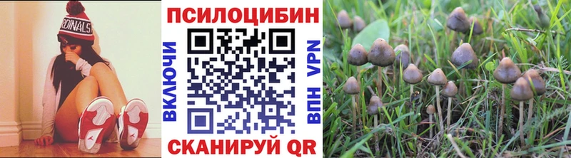 Галлюциногенные грибы Psilocybine cubensis  купить наркоту  Гаврилов Посад 